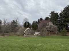 Landscape-final