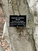 Magnolia-Tree-Sign