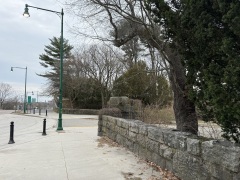 Street-Entrance-to-Arberetum