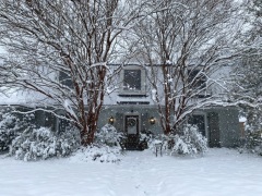 Historic Snow Storm in Louisiana