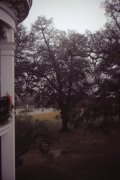 Holidays-in-Louisiana-10-Nottoway-Plantation-House