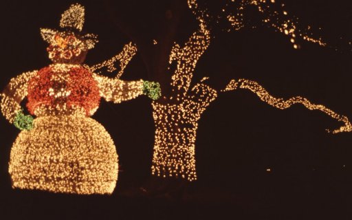 Holidays-in-Louisiana-13-Christmas-Lights