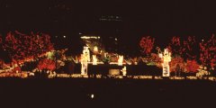 Holidays-in-Louisiana-15-Christmas-Lights