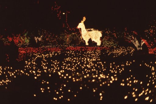 Holidays-in-Louisiana-16-Christmas-Lights