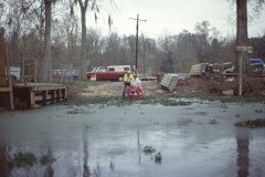 Holidays-in-Louisiana-21-Alligator-Bayou