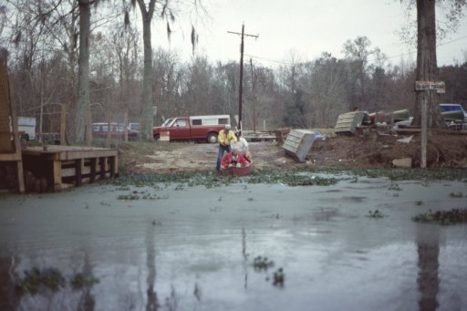 Holidays-in-Louisiana-21-Alligator-Bayou