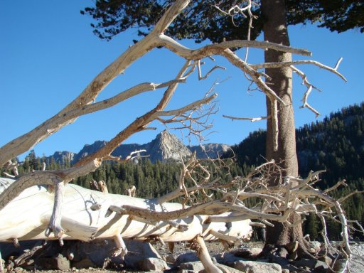 Horseshoe-Lake-05