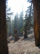 McLeod-Lake-01