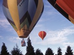 Hot Air Balloons Albany OR