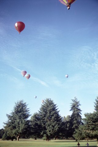 Hot-Air-Balloons-Albany-Oregon-22