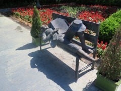 IMG_0009-1