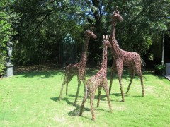 IMG_0036-1-S