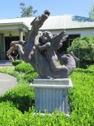 IMG_0046-S