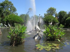 IMG_0050-P