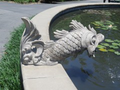 IMG_0165-S