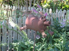 IMG_0171-S