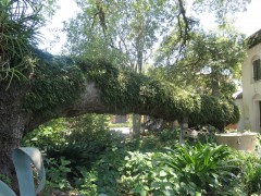 IMG_0173