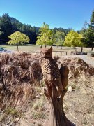 Humboldt-Redwoods-State-Park-06