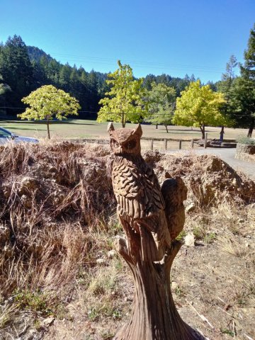 Humboldt-Redwoods-State-Park-06