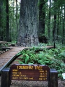 Humboldt-Redwoods-State-Park-13
