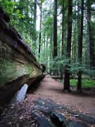 Humboldt-Redwoods-State-Park-16