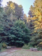 Humboldt-Redwoods-State-Park-17