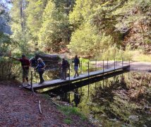 Humboldt-Redwoods-State-Park-36