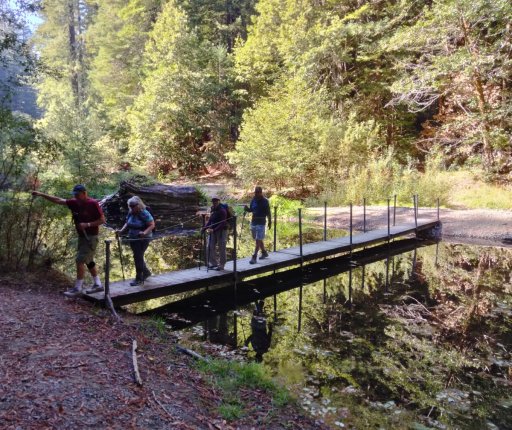 Humboldt-Redwoods-State-Park-36