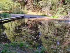 Humboldt-Redwoods-State-Park-37