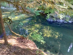 Jedediah-Smith-Redwoods-State-Park-15