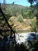Jedediah-Smith-Redwoods-State-Park-18