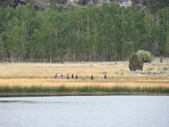 June-Lake-Loop-03