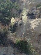los-angeles-aqueduct-cascades-01
