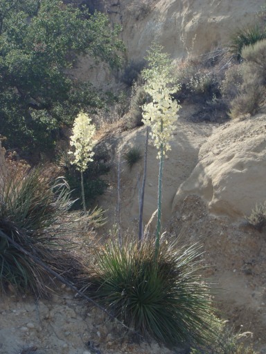 los-angeles-aqueduct-cascades-01