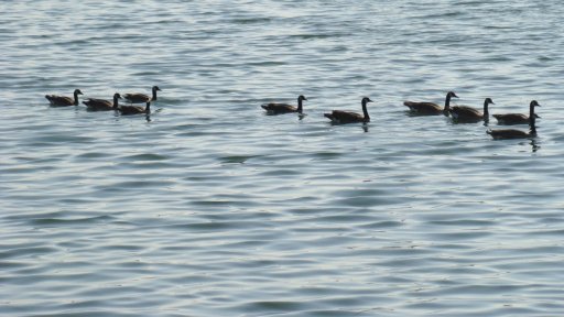 whittier-narrows-recreation-area-04