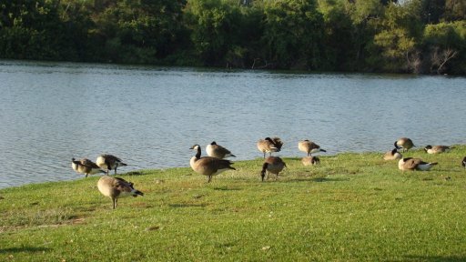 whittier-narrows-recreation-area-12