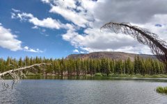 Lake-Mamie-in-the-Mammoth-Lakes-Basin-11