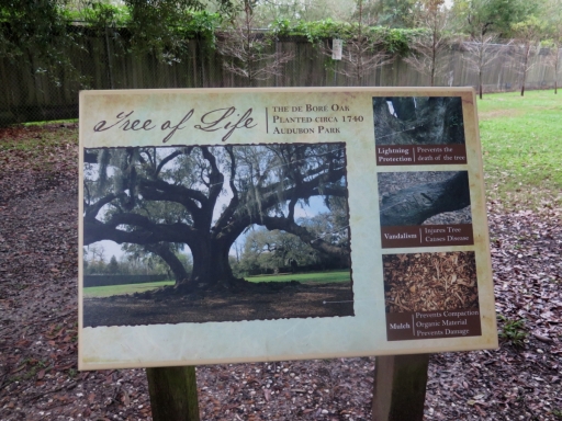 Sign at tree - IMG_6663_1