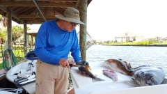 Grandfather filleting fish catch - 20150607_142541