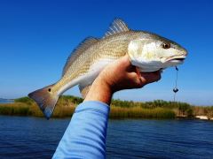 Louisiana Fishing Trip