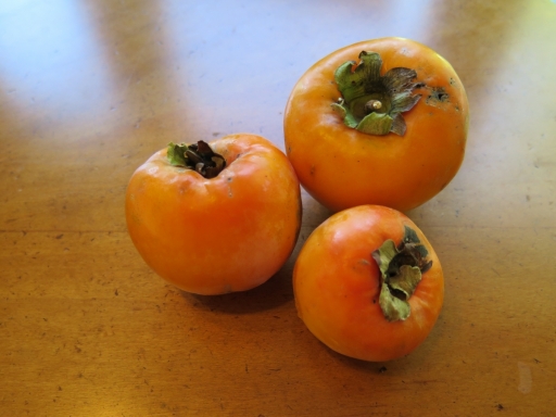 persimmon - three - 2013-10-08 054