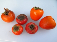 three types of persimmons - IMG_0691_1