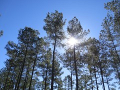 IMG_0405