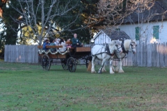 Horse-Ride-IMG_4774-Y