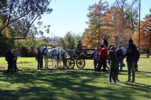 Horses-Ride-IMG_4703-Y
