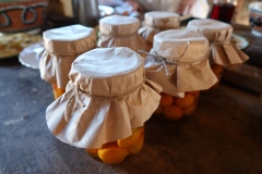 Kumquat-in-Brandy-IMG_4735-Y