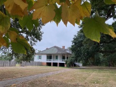 Magnolia-Mound-IMG_8219
