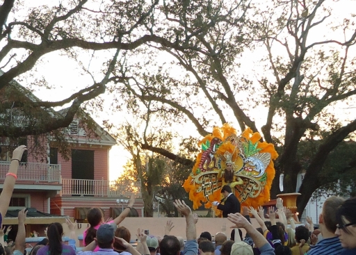 Mardi Gras 2015 - 1 - DSC01079_1