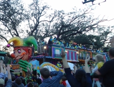 Mardi Gras - 4 - DSC01080_1