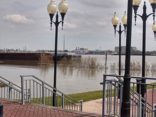 IMG_20200316_121300349_HDR-2